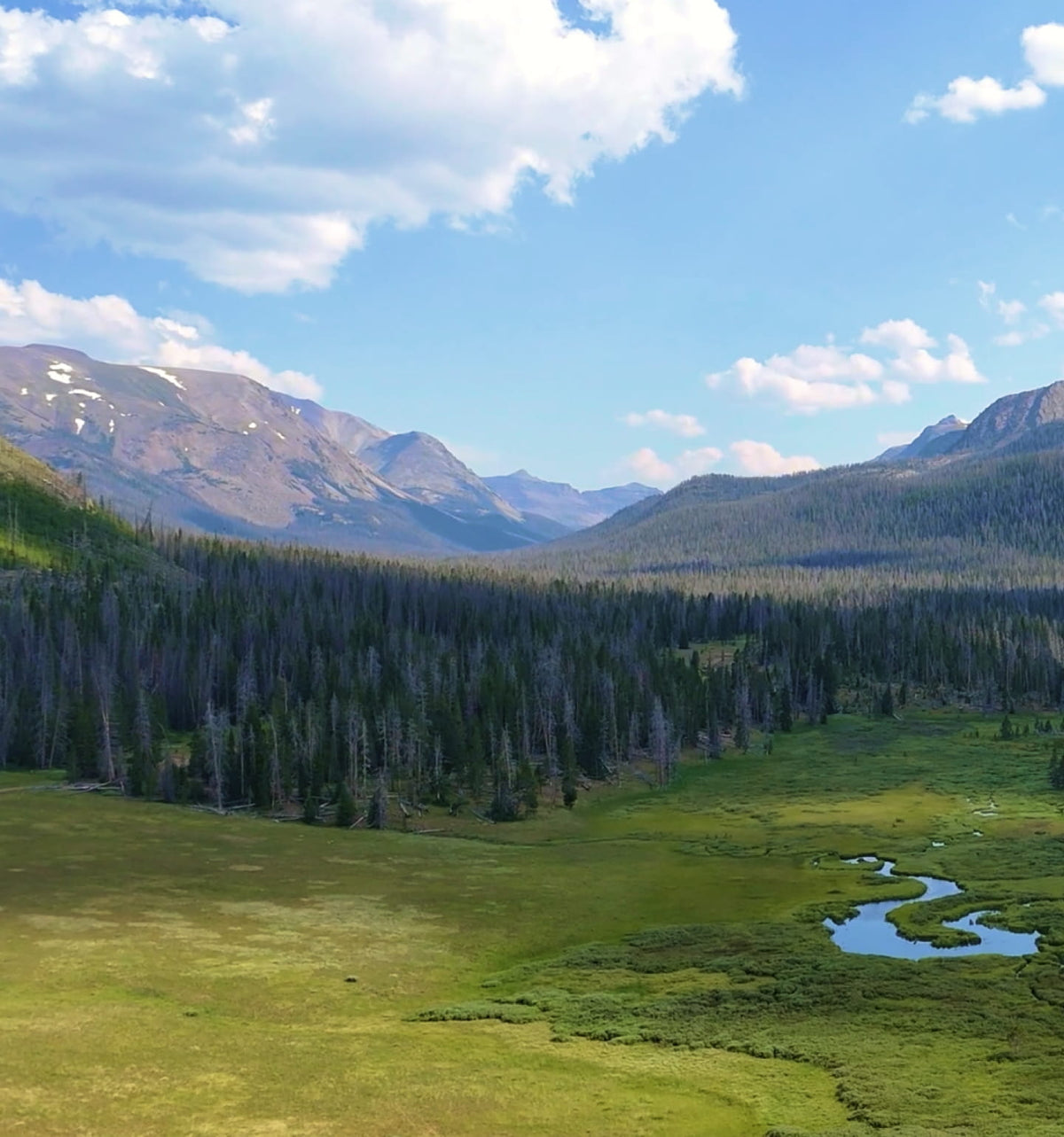 A scenic mountain landscape with a green meadow, winding stream, evergreen forest, and distant peaks under a blue sky with white clouds.