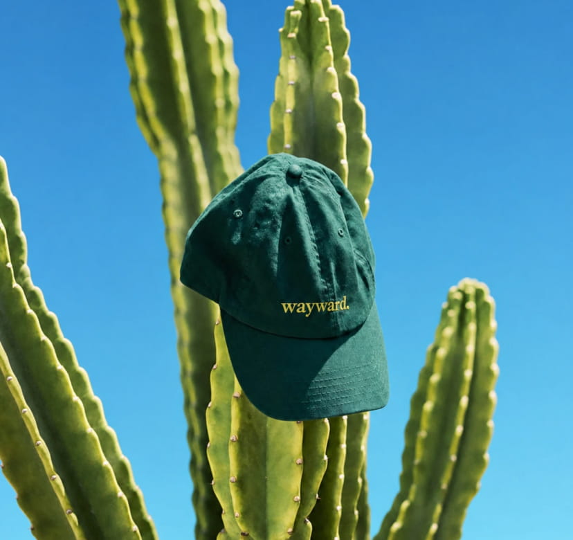 Eco Collection